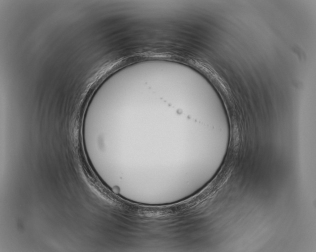 X0000112730533200908201015