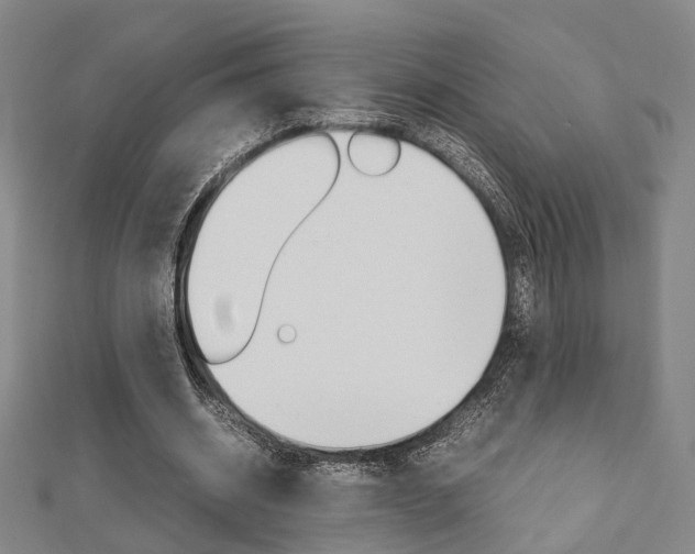 X0000112730534200908201015