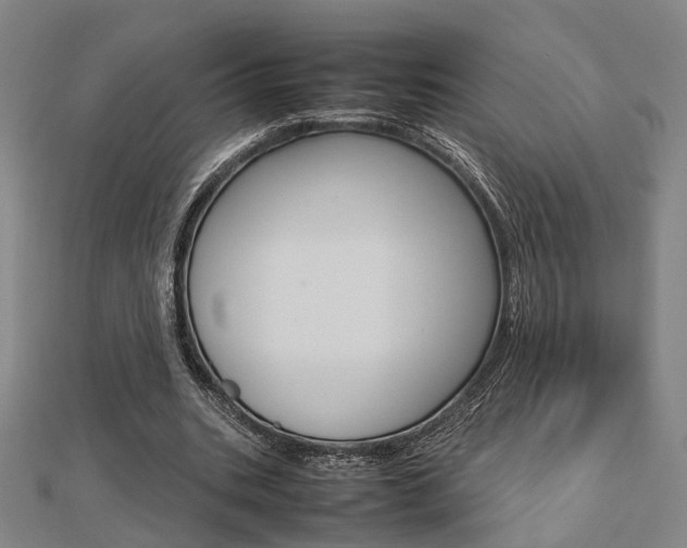 X0000112730535200908201015