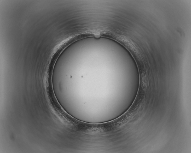 X0000112730536200908201015