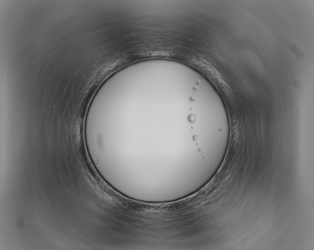 X0000112730537200908201015