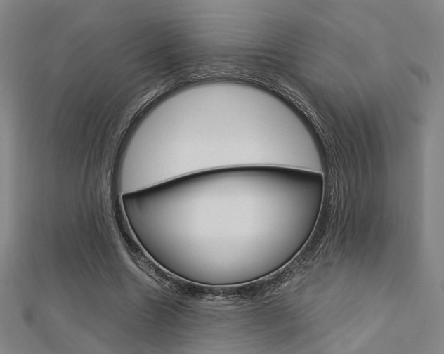 X0000112730538200908201015