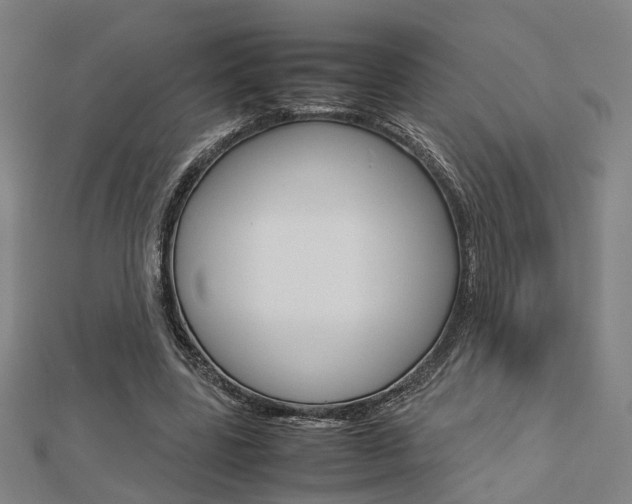 X0000112730539200908201015