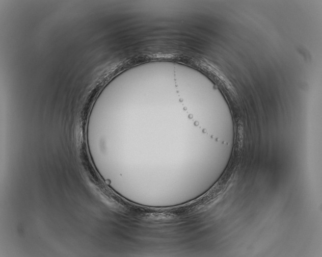 X0000112730541200908201015