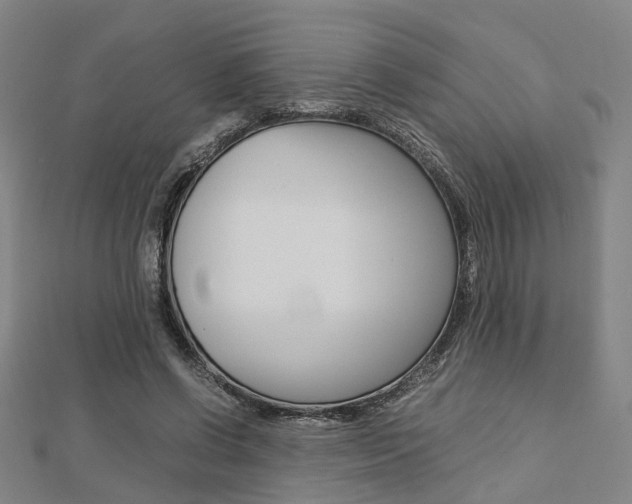 X0000112730542200908201015