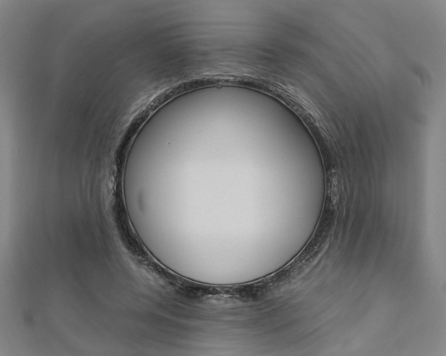 X0000112730544200908201015