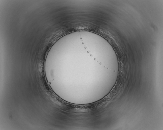 X0000112730545200908201015