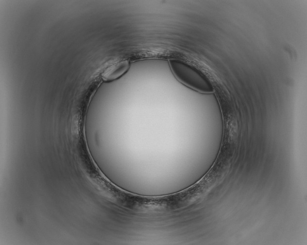 X0000112730546200908201015