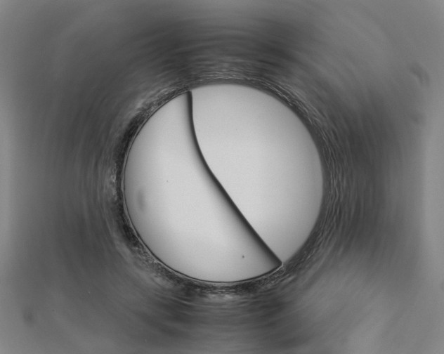 X0000112730547200908201015