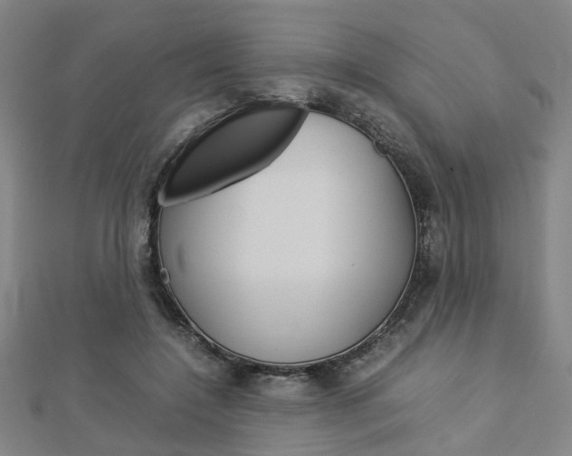 X0000112730548200908201015
