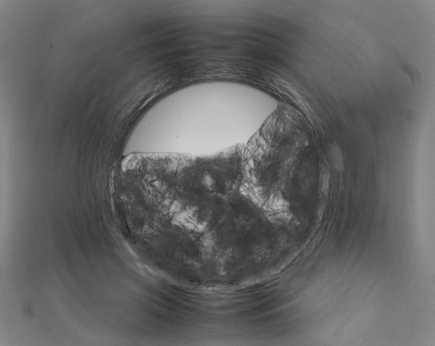 X0000112730549200908201015