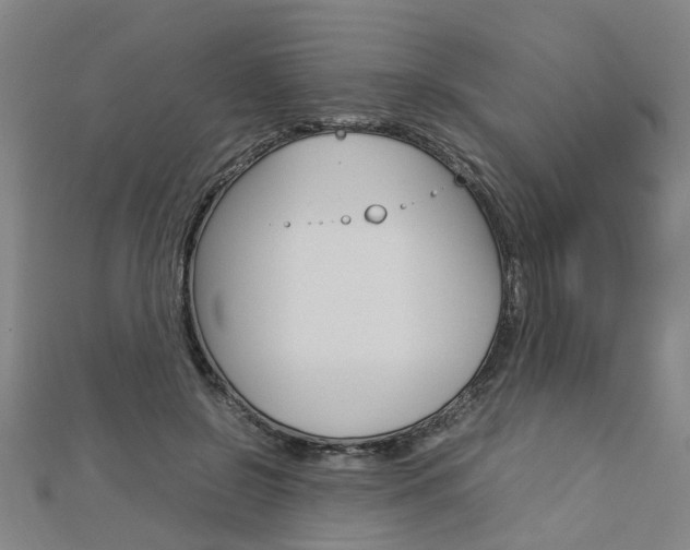 X0000112730550200908201015