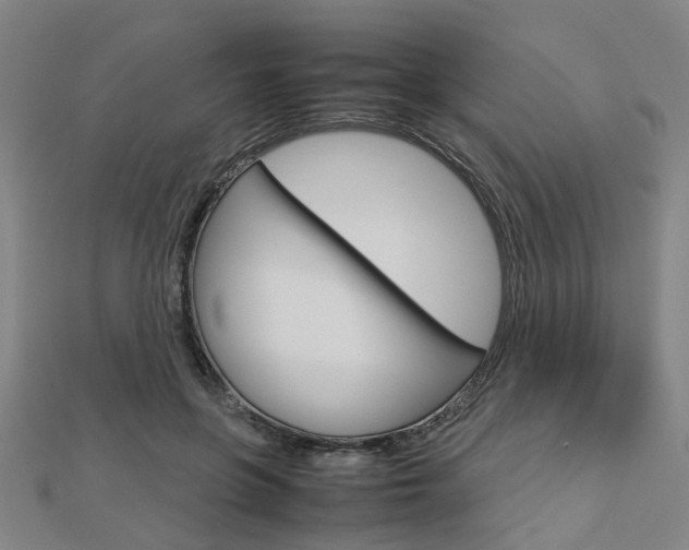 X0000112730551200908201015