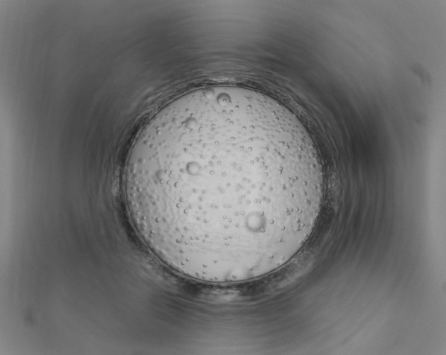X0000112730554200908201015