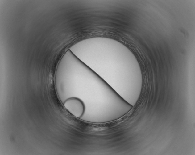 X0000112730555200908201015