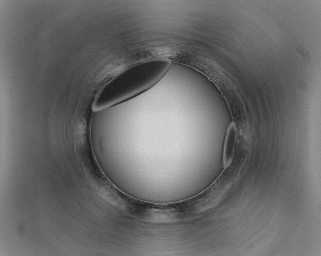 X0000112730556200908201016