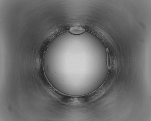 X0000112730558200908201016