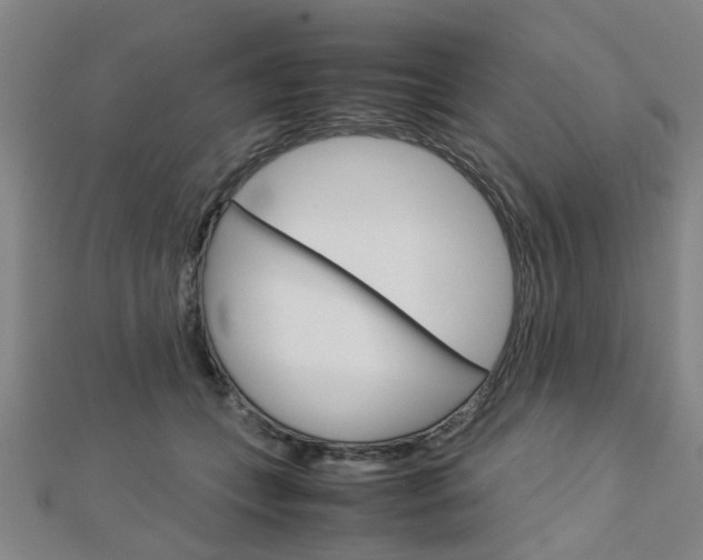 X0000112730559200908201016