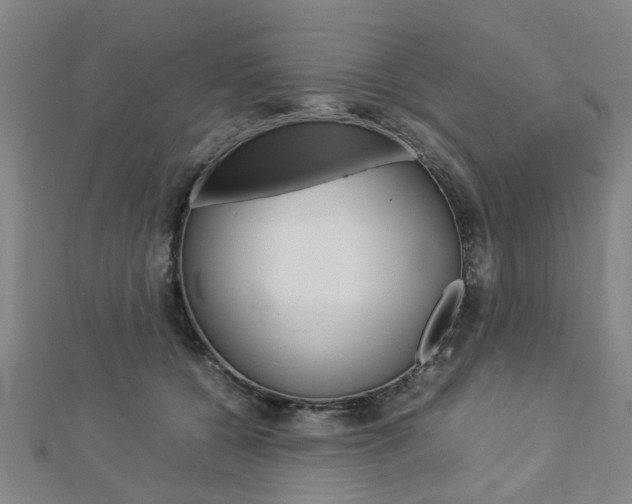 X0000112730560200908201016