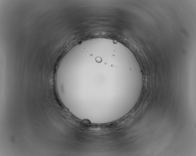 X0000112730561200908201016