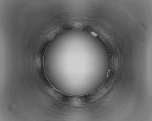 X0000112730562200908201016