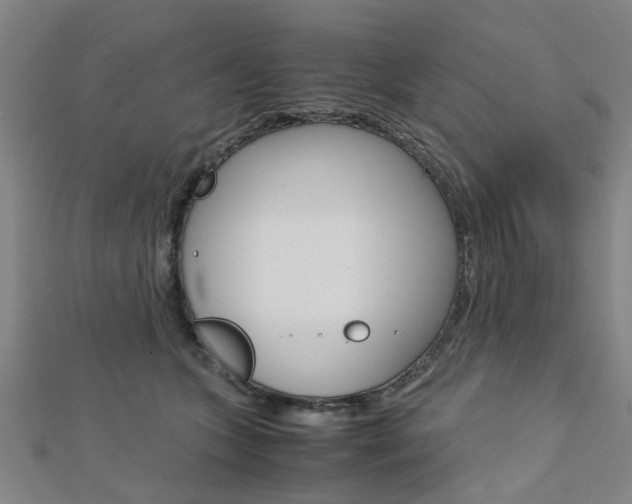 X0000112730563200908201016