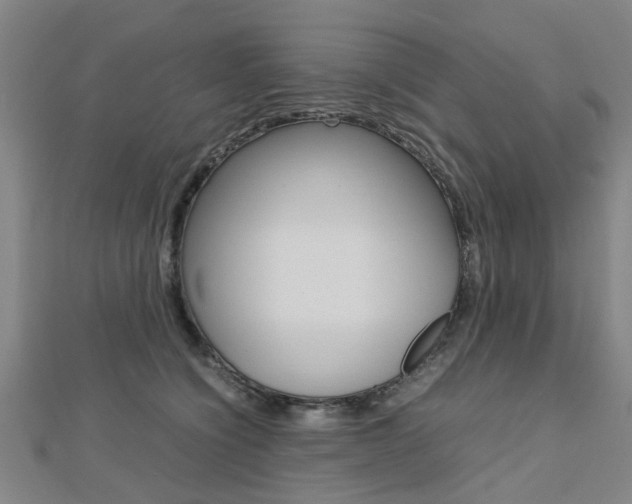 X0000112730564200908201016