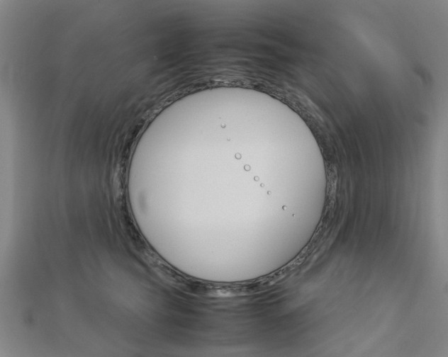 X0000112730565200908201016