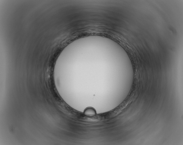 X0000112730567200908201016