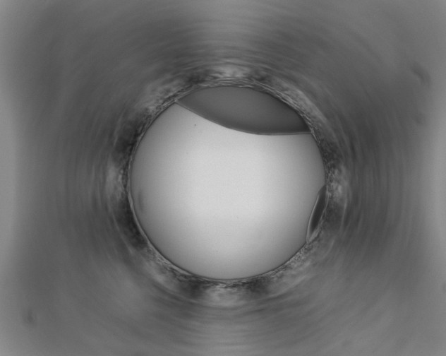 X0000112730568200908201016