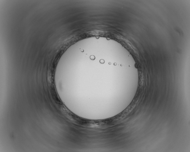 X0000112730569200908201016