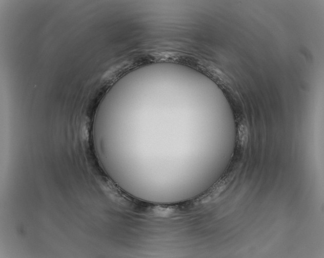 X0000112730570200908201016