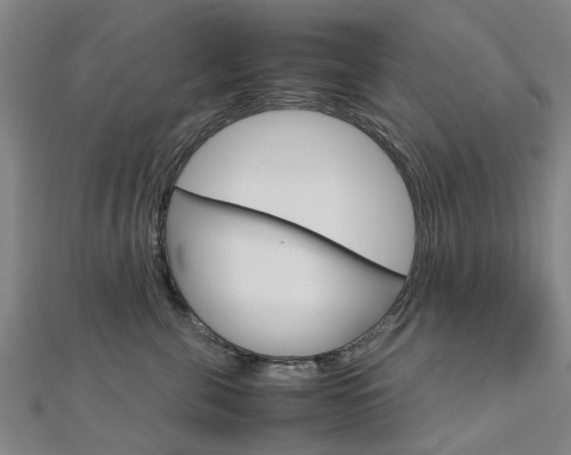 X0000112730571200908201016