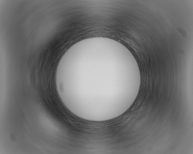 X0000112730572200908201016
