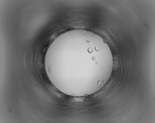 X0000112730573200908201016