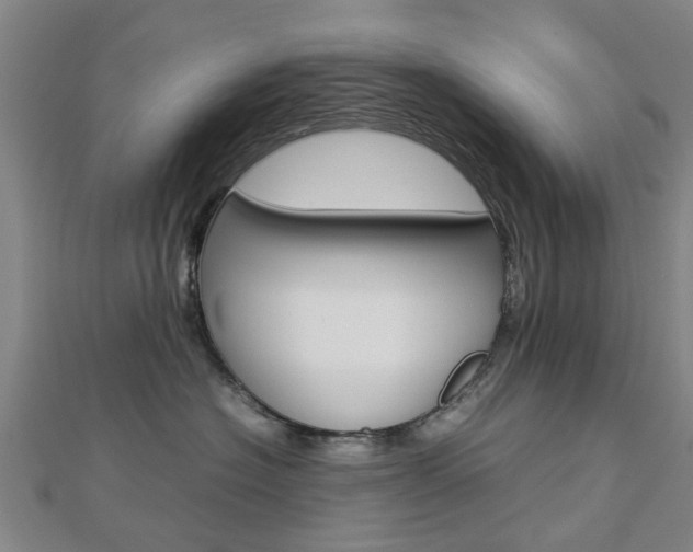X0000112730574200908201016