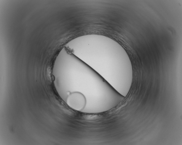 X0000112730575200908201016