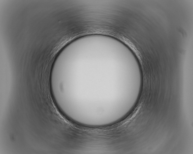 X0000112730577200908201015