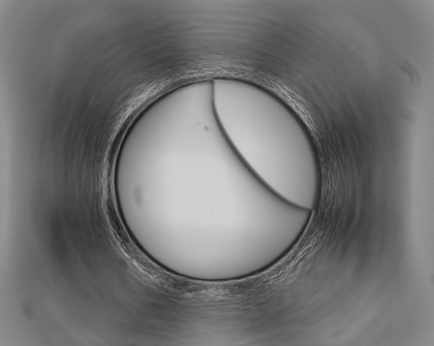 X0000112730578200908201015