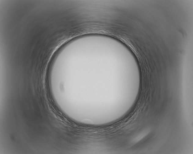 X0000112730579200908201015