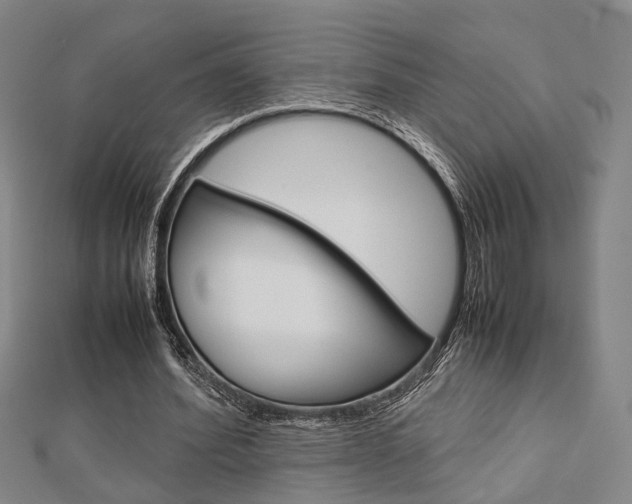 X0000112730580200908201015