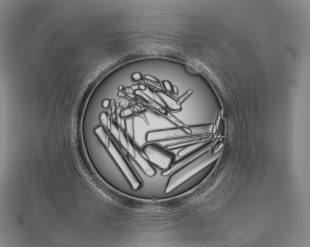 X0000112730581200908201015