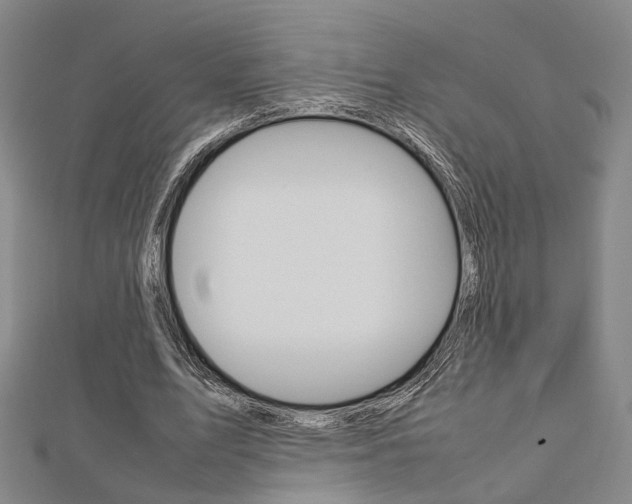 X0000112730583200908201015