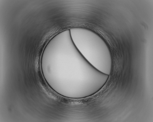 X0000112730586200908201015