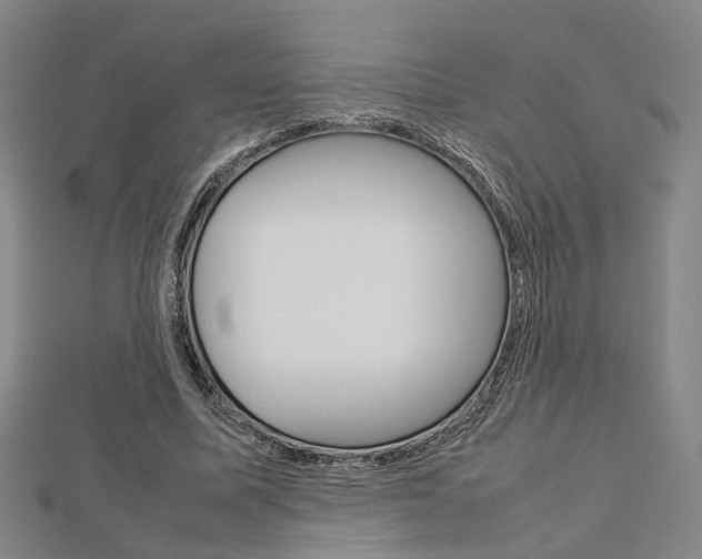 X0000112730587200908201015