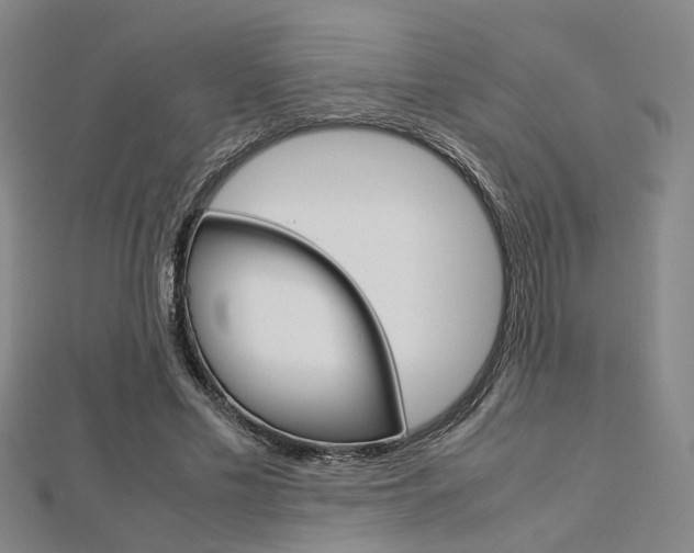 X0000112730589200908201015