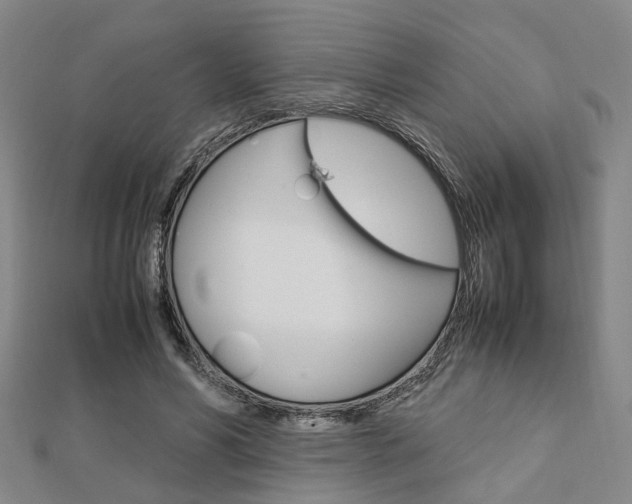X0000112730590200908201015