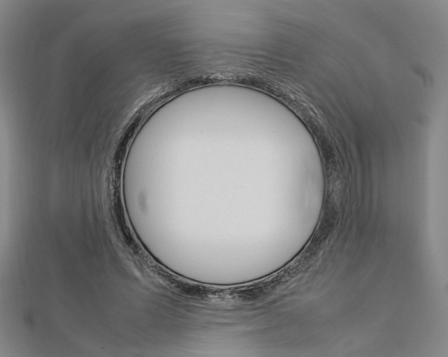 X0000112730591200908201015