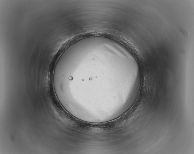 X0000112730592200908201015