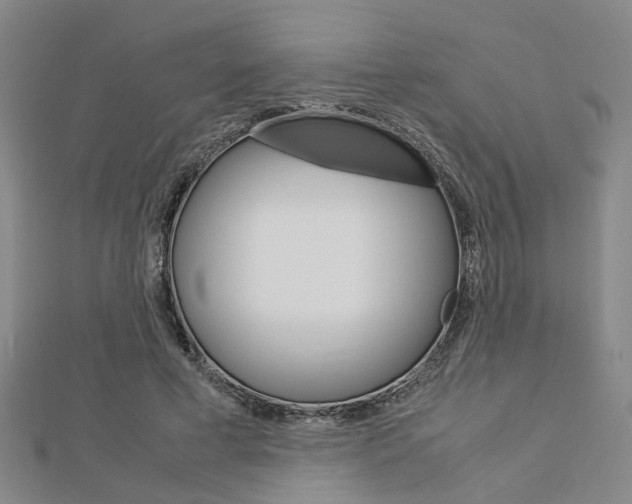 X0000112730593200908201015